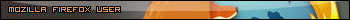 Mozilla FireFox user