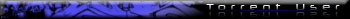 torrent user