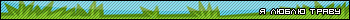 Grass