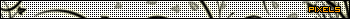 Pixels