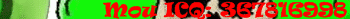 ICQ