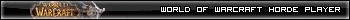 World of warcraft