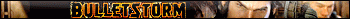 Bulletstorm