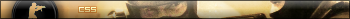 Counter strike Source