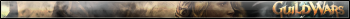 Guild Wars 2