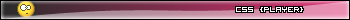 css_Player
