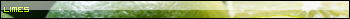 Limes